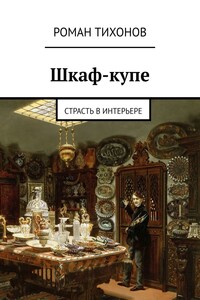 Шкаф-купе. Страсть в интерьере