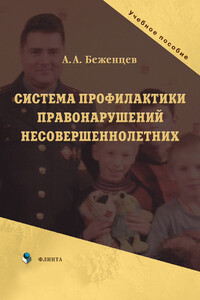 Система профилактики правонарушений несовершеннолетних. Учебное пособие