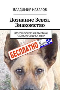 Дознание Зевса. Знакомство. Второй рассказ из практики частного сыщика Зуева