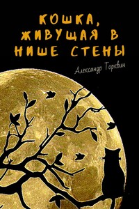 Кошка, живущая в нише стены