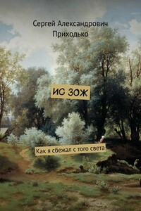 ИС ЗОЖ. Как я сбежал с того света