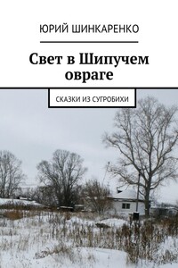 Свет в Шипучем овраге. Сказки из Сугробихи