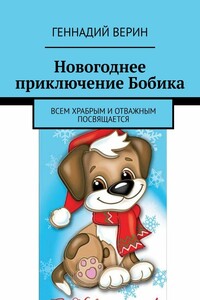 Новогоднее приключение Бобика. Всем храбрым и отважным посвящается
