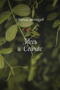 Здесь и сейчас