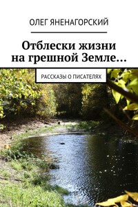 Отблески жизни на грешной Земле… Рассказы о писателях