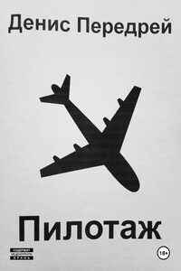 Пилотаж