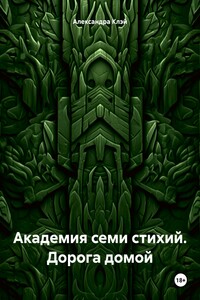 Академия семи стихий. Дорога домой