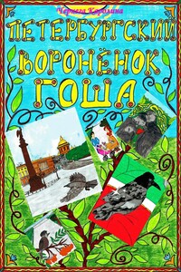 Петербургский воронёнок Гоша