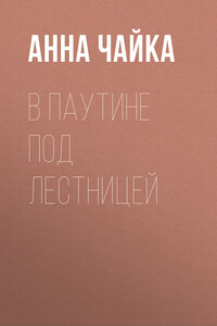 В паутине под лестницей