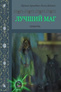 Лучший маг