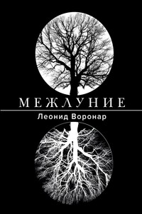 Межлуние