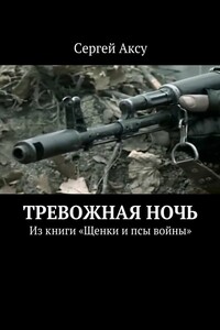Тревожная ночь. Из книги «Щенки и псы войны»