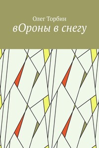 вОроны в снегу