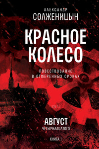 Красное колесо. Узел I: Август Четырнадцатого. Книга 2. Том 2