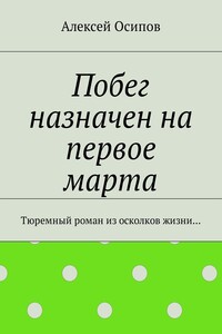 Побег назначен на первое марта. Тюремный роман из осколков жизни…