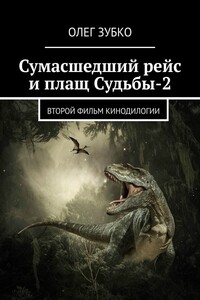 Сумасшедший рейс и плащ Судьбы – 2. Второй фильм кинодилогии