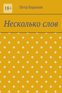 Несколько слов