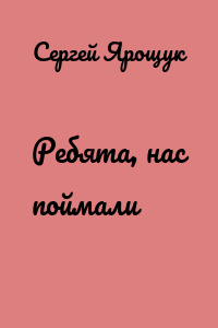 Ребята, нас поймали