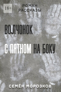 Волчонок с пятном на боку. Роман, рассказы
