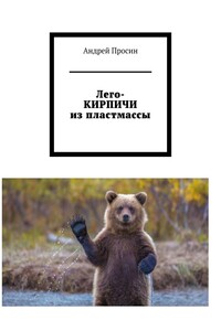Лего-КИРПИЧИ из пластмассы