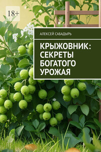 Крыжовник: секреты богатого урожая