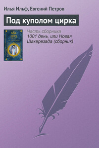 Под куполом цирка
