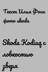 Skoda Kodiaq с ловкостью зверя