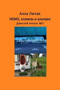 НЕМО, кломпы и альпаки. Дамский Amster №3
