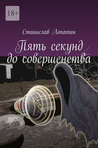 Пять секунд до совершенства