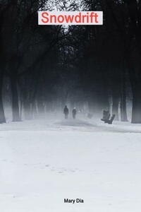Snowdrift