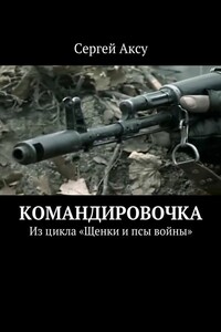 Командировочка. Из цикла «Щенки и псы войны»