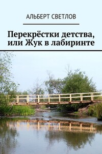 Перекрёстки детства, или Жук в лабиринте