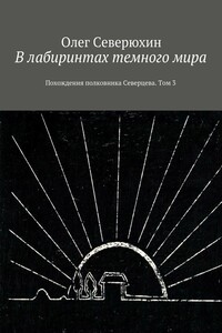 В лабиринтах темного мира. Похождения полковника Северцева. Том 3