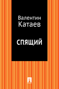 Спящий