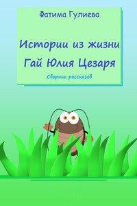 Истории из жизни Гай Юлия Цезаря. Сборник рассказов