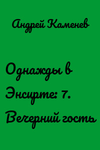 Однажды в Энсирте: 7. Вечерний гость