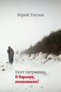 Бунт патриотов. К барьеру, полковник!