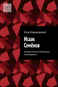 Исаак Семёнов. История из жизни Питерского сумасшедшего