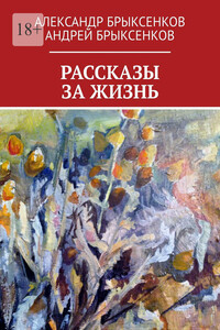 РАССКАЗЫ ЗА ЖИЗНЬ