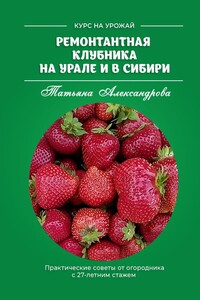 Ремонтантная клубника на Урале и в Сибири. Курс на урожай