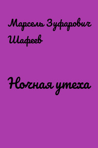 Ночная утеха
