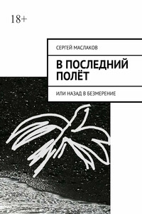 В последний полёт. Или Назад в Безмерение