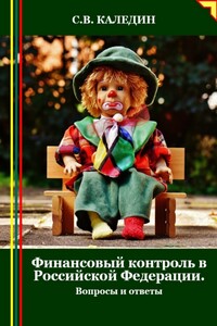 Финансовый контроль в Российской Федерации. Вопросы и ответы