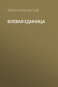 Боевая единица