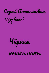 Чёрная кошка ночь