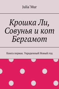 Крошка Ли, Совунья и кот Бергамот. Книга первая. Украденный Новый год
