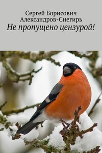 Не пропущено цензурой!