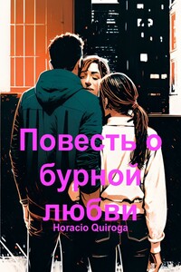Повесть о бурной любви
