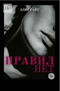 Правил нет