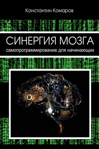 Синергия мозга. Самопрограммирование для начинающих